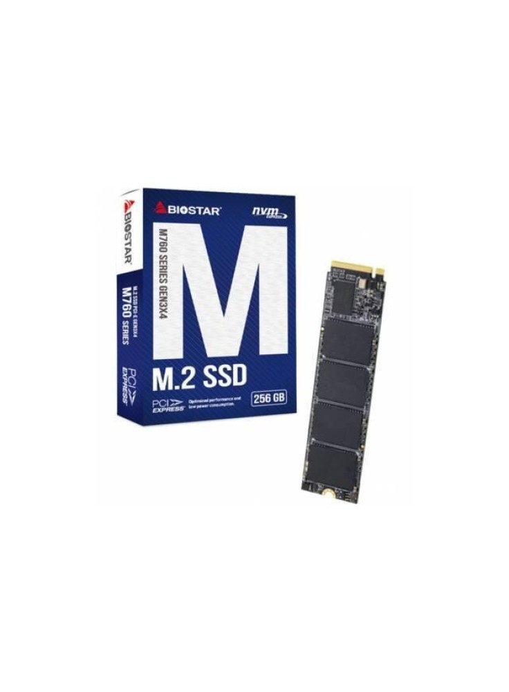 DISCO M.2 SSD BIOSTAR 256GB